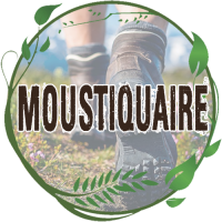 Moustiquaire